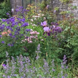 AECCF C BF A AEFABFBD