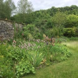 ACD BDA FB ABA CEBCA