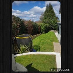 Collage-2021-04-18-11_44_45