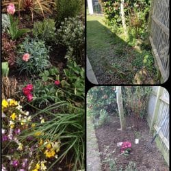 Collage-2021-04-18-11_53_37