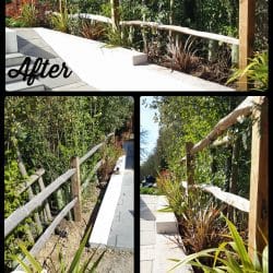 Collage-2021-04-27-11_32_25