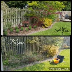 Collage-2021-05-03-21_59_55