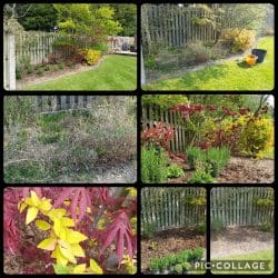 Collage-2021-05-03-22_13_07