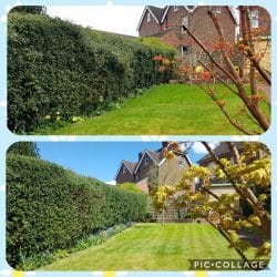 Collage-2021-05-05-19_11_07