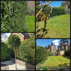 Collage-2021-05-05-19_24_09