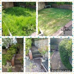 Collage-2021-05-21-17_32_57