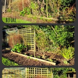 Collage-2022-01-15-13_17_13