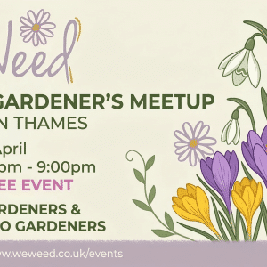 Gemini_Generated_Image_xlp3lxxlp3lxxlp3